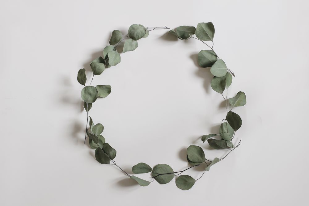 Green floral wreath made of dry eucalyptus tree leaves and branches