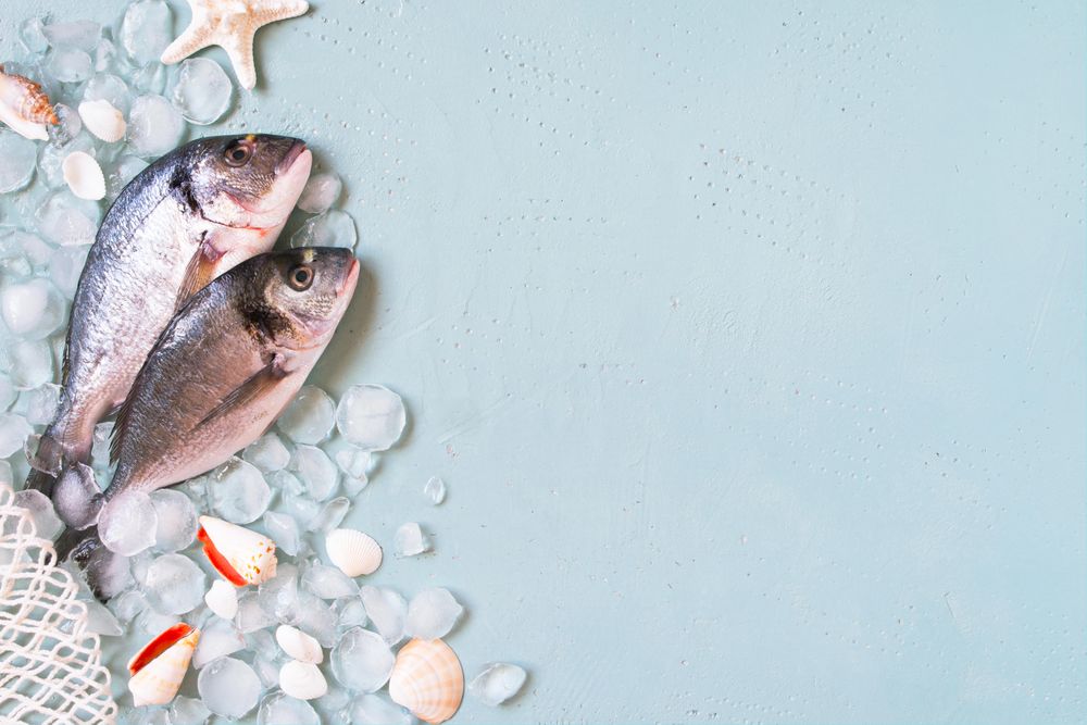 Fish on ice with net and seashells, copy space