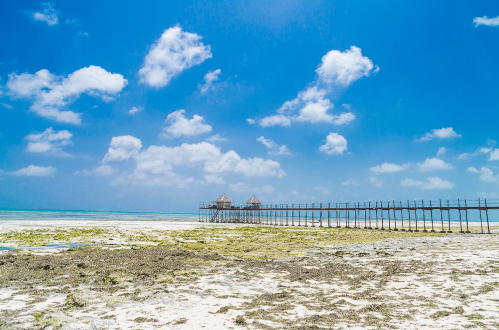 Pier with the tide out on a warm beach