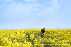 Rear view of woman holding her baby in yellow field 5qeYY5