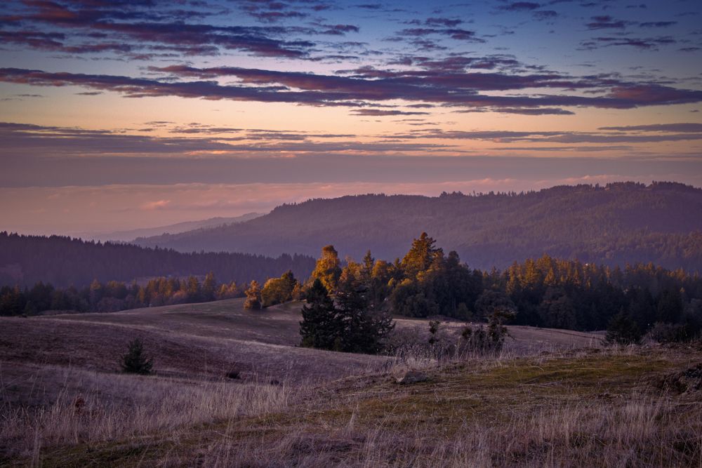 Gradient peach and purple sunset over mountain trees
