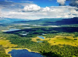 Aerial view of forests and lakes of Denali National Park, Alaska