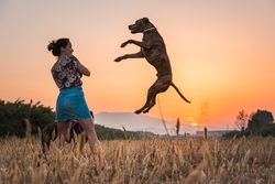 Female playing with dog at hilly area in evening