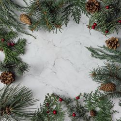 Winter foliage with pine cones bordering marble background