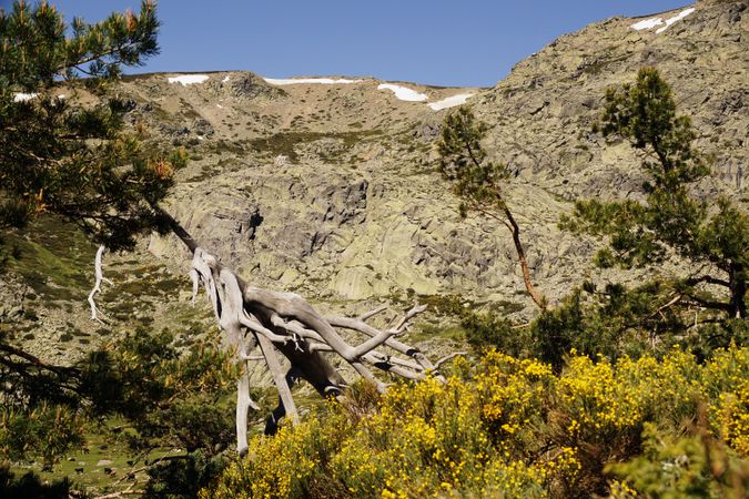 Picturesque landscape of green mountains in summer