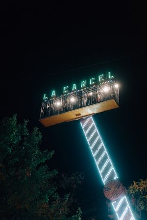 Amusement ride amidst trees in park