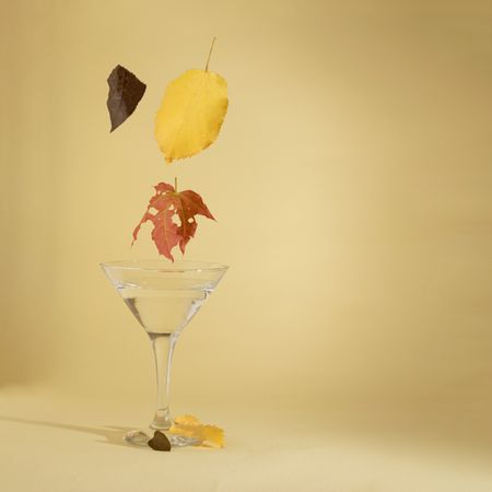 Leaves falling into martini glass, autumn abstract design