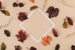 Fall leaves and gold branches on sand pastel background with square paper outline