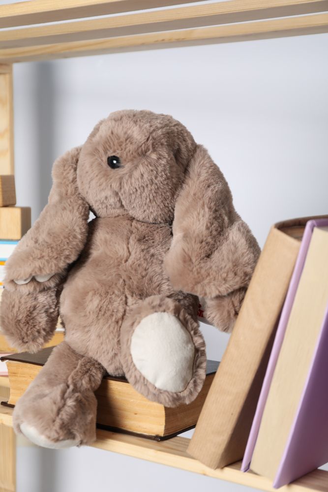 Book for baby, concept of literature for children and baby