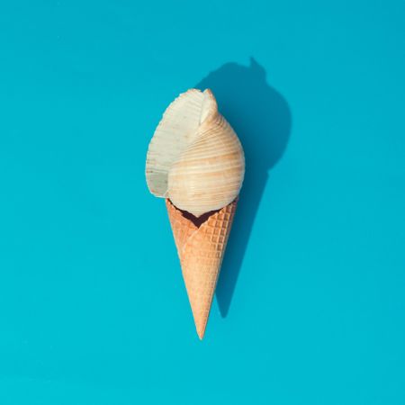 Sea shell in waffle cone on bright blue background