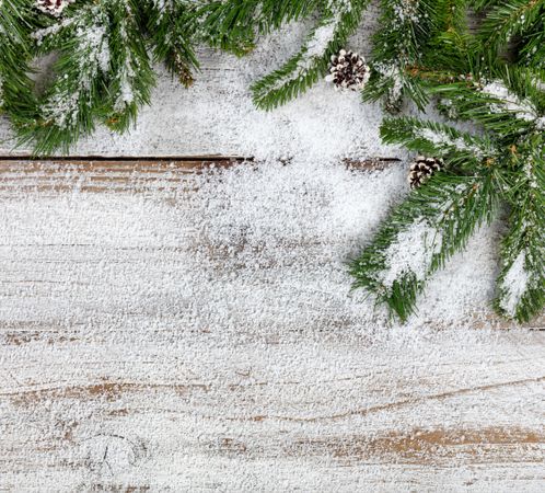 Snowy Christmas fir branches on rustic wooden background