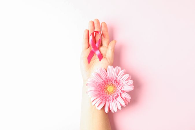 Female hand with pink awareness ribbon and gerbera color background