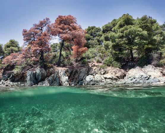 Stony island with bright greenery surrounded by water