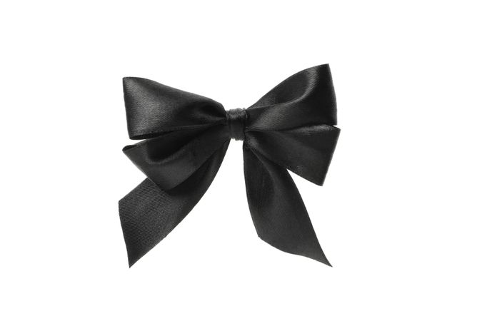 dark bow isolated on bright background, close up
