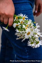 Hand holding daisy flowers next to jeans 48BLWX