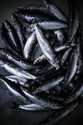Tray with fresh fish