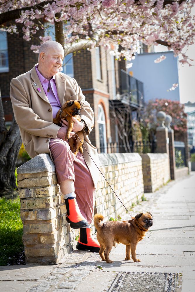 Older man sitting in a park with spring flowers and with two dogs