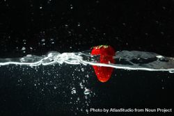 Side view of water on dark background with a suspended strawberry 5wJX10