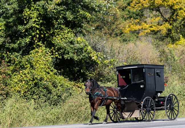 An Amishman guides his horse and buggy south of Middlebury in Elkhart County, Indiana
