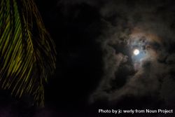 Full moon surrounded by clouds with palm tree leaf 48EyKb