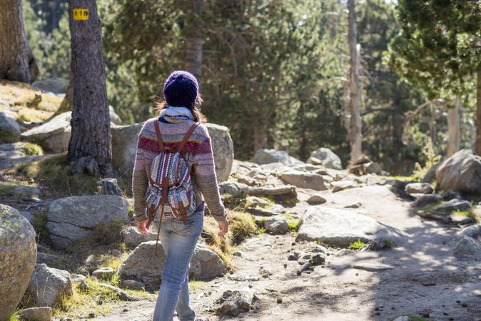 Back of woman in sweater and backpack strolling on trail in the woods