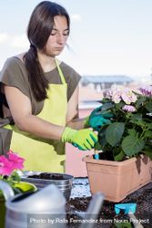 Young woman wearing a gardener apron and potting plants on patio bYqNA6