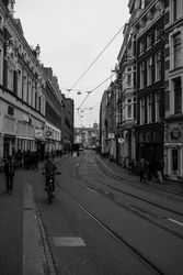 B&W tram lines in Holland
