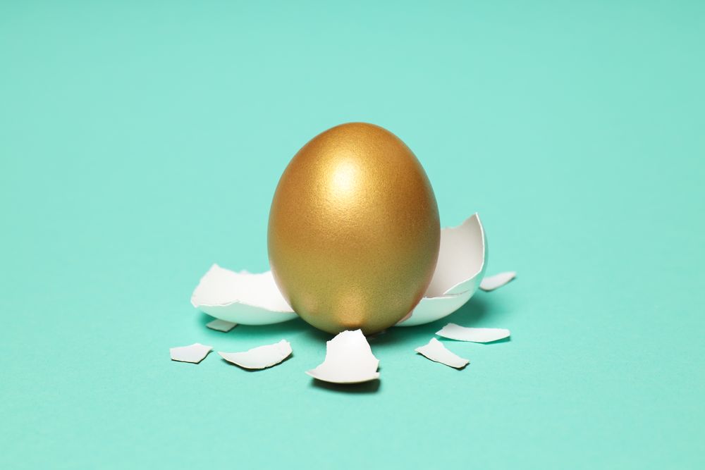 Golden egg, pension savings, investments and retirement