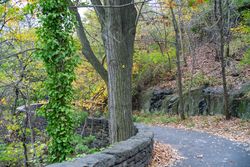 Green Path in Fort Tryon Park, NYC.