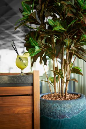 Green cocktail next to a tall plant