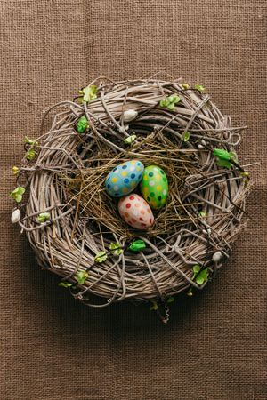 Decorated Easter egg in bird nest