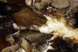 Mountain small raging river in woods