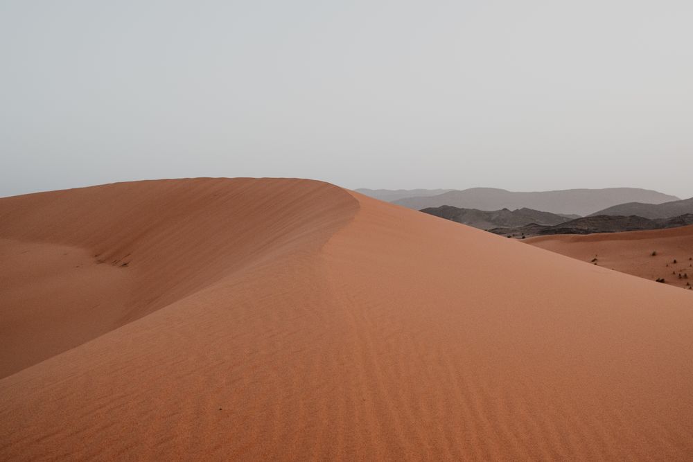 Sandy dune in arid desert