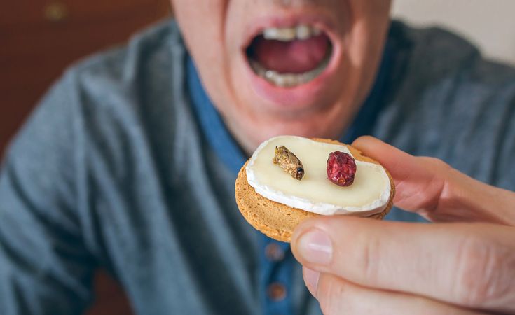 Man eating crickets canape