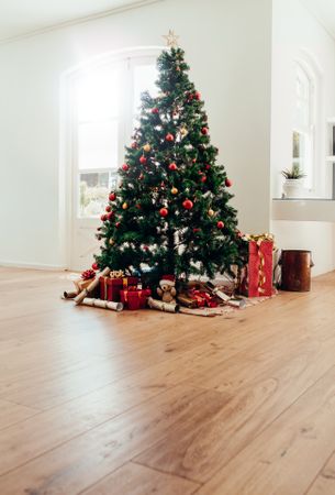 Christmas celebrations with elegantly decorated Christmas tree at home