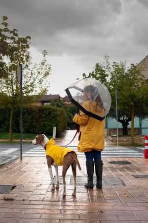 Woman walking with dog in cloak in street