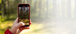 Save Nature Beyond The Screen