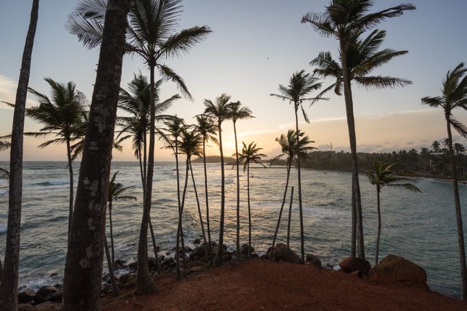 Exotic ocean sandy hill with palms