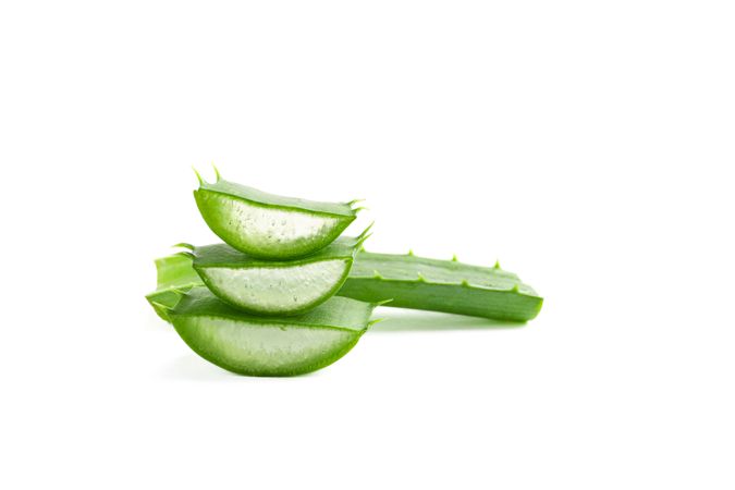 Aloe vera slices isolated on studio background. Herbal medicine