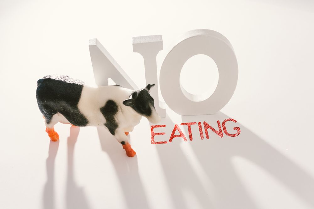 Concept of calling to stop eating animals