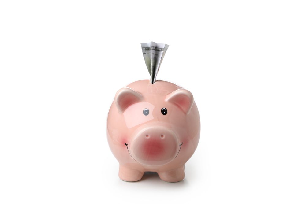 Piggy bank with dollar bill isolated on light background