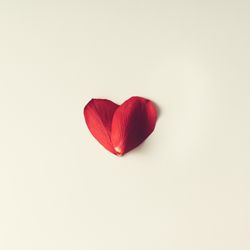 Two rose petals in a heart shape