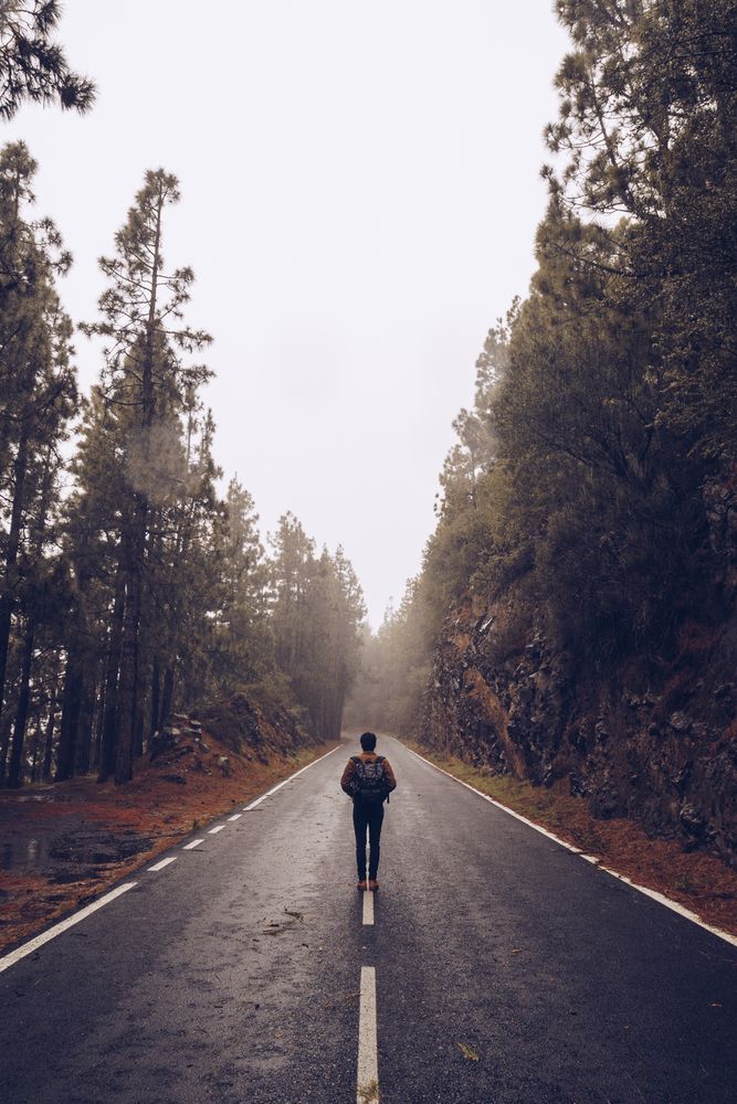 Traveler walking on empty road in woods