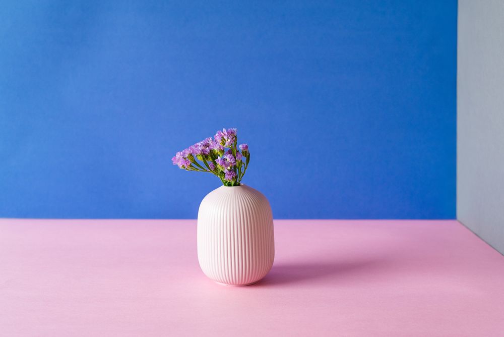 Violet sea lavender flowers in a multicolor background
