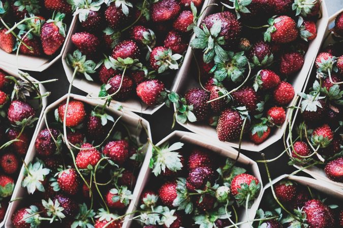Strawberries in eco-friendly plastic-free boxes, diagonal close up