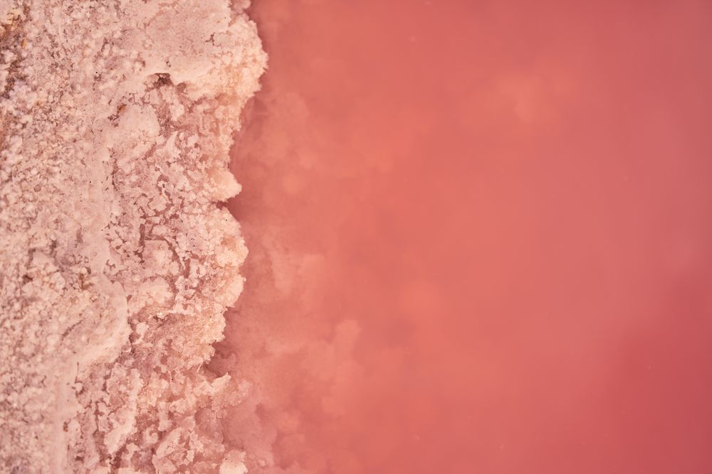 Salty pink water on seashore