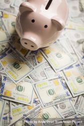 Piggy Bank on Newly Designed One Hundred Dollar Bills 5ngxon