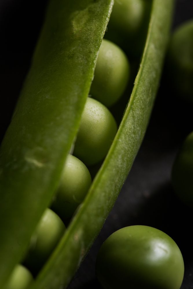 Fresh peas and pea pods on dark background