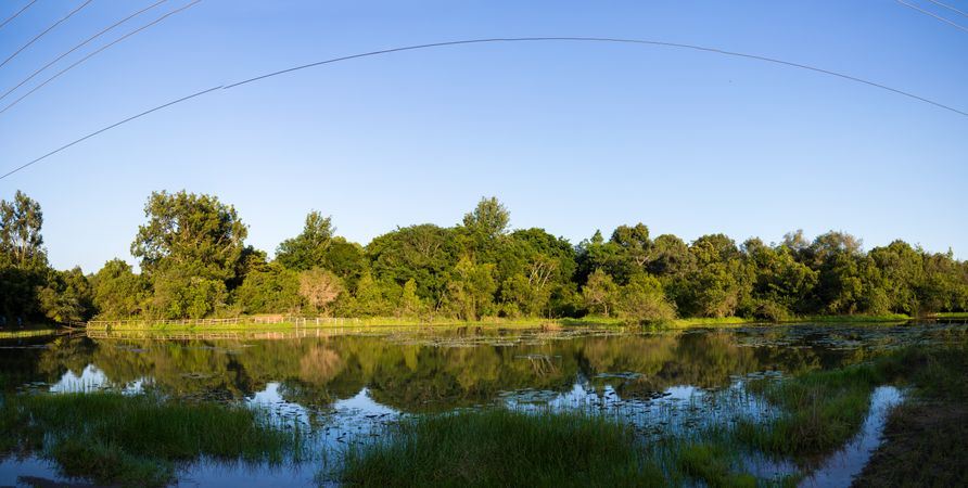Karura forest landscapes field waterfalls ponds lakes vegetation Kenya East Africa