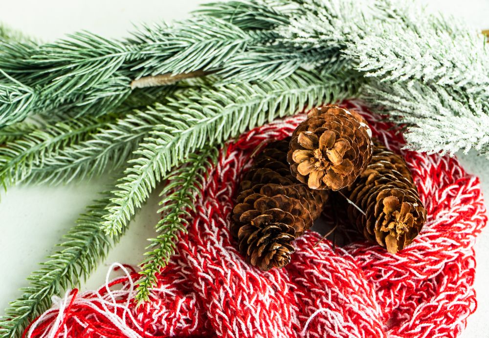 Pine branch with pine cones and red scarf
